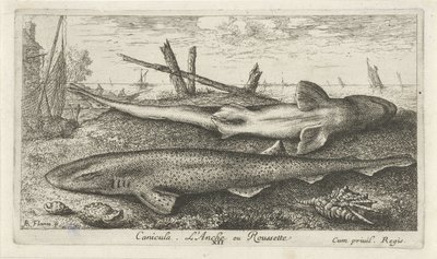 Deux roussettes sur la plage - Albert Flamen