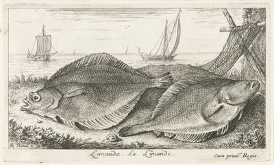 Deux poissons sur la plage - Albert Flamen