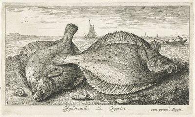 Deux plies sur la plage (Vissen en andere zeedieren - zoutwater derde reeks, Poissons de mer) - Albert Flamen