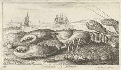 Homard sur la plage - Albert Flamen
