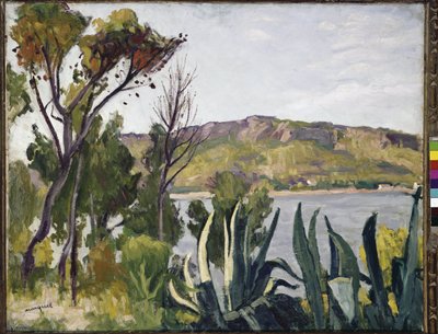 Paysage avec agave - Albert Marquet