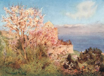 S. Giovanni Battista, Monte San Giuliano - Alberto Pisa
