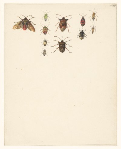 Feuille d