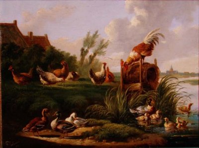 Canards et volailles sur une rive - Albertus Verhoesen