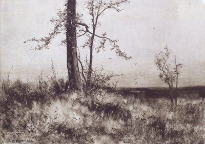 Paysage - Albion Harris Bicknell
