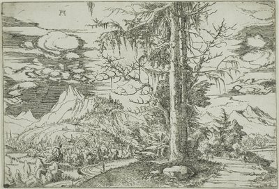 Paysage avec un double épicéa - Albrecht Altdorfer