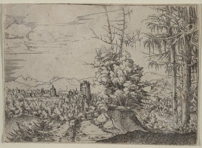 Paysage avec deux pins - Albrecht Altdorfer