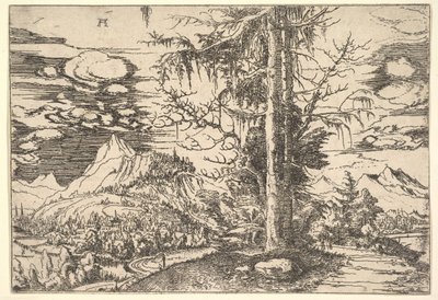 Paysage avec un double épicéa - Albrecht Altdorfer