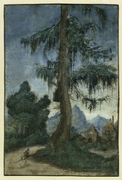 Paysage avec un épicéa, vers 1522 - Albrecht Altdorfer