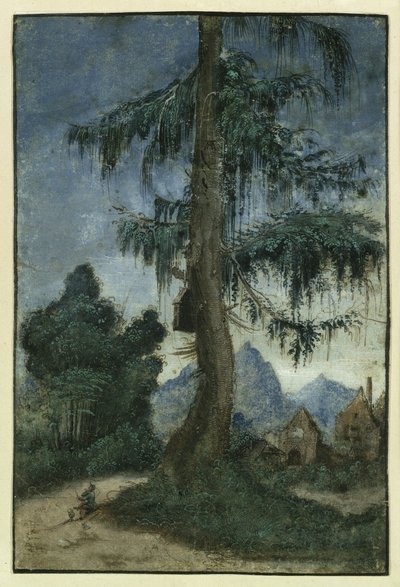  - Albrecht Altdorfer