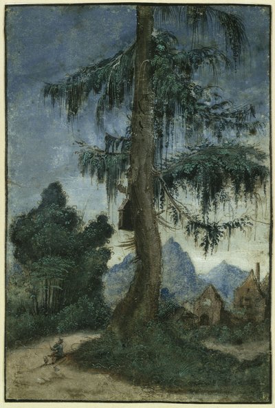  - Albrecht Altdorfer