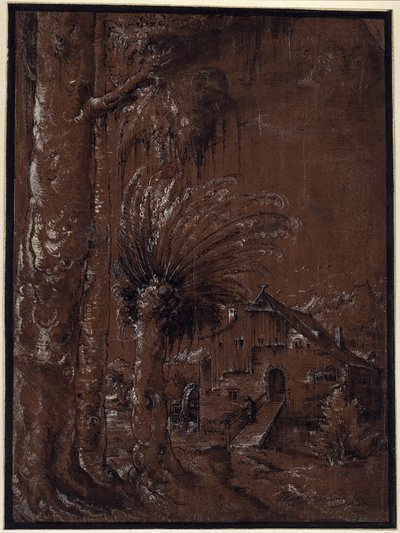Paysage avec moulin à eau - Albrecht Altdorfer