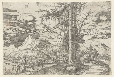 Paysage avec double sapin - Albrecht Altdorfer