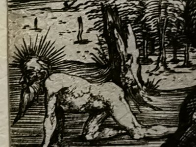 2021 - Deuxième lot de juillet Mateus2019 (72) - Albrecht Dürer