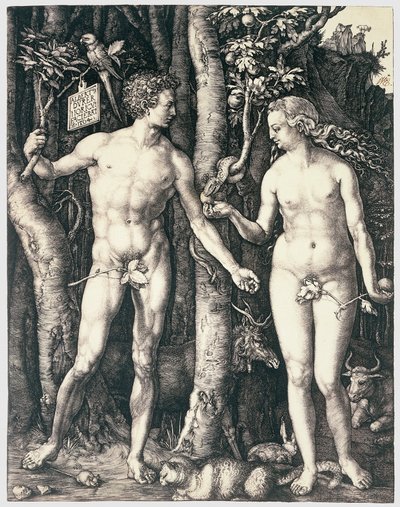 Adam et Eve - Albrecht Dürer