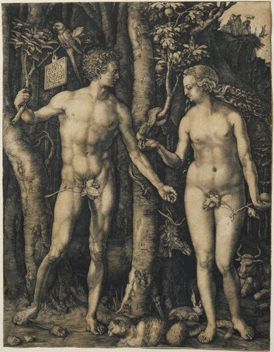 Adam et Eve - Albrecht Dürer