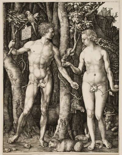 Adam et Eve - Albrecht Dürer
