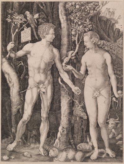 Adam et Ève - Albrecht Dürer