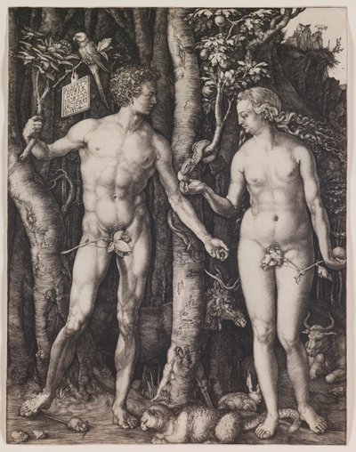  - Albrecht Dürer