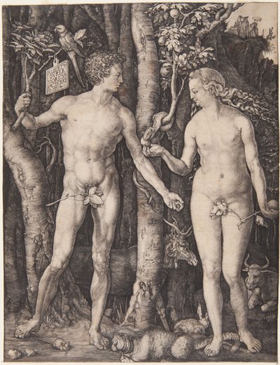  - Albrecht Dürer