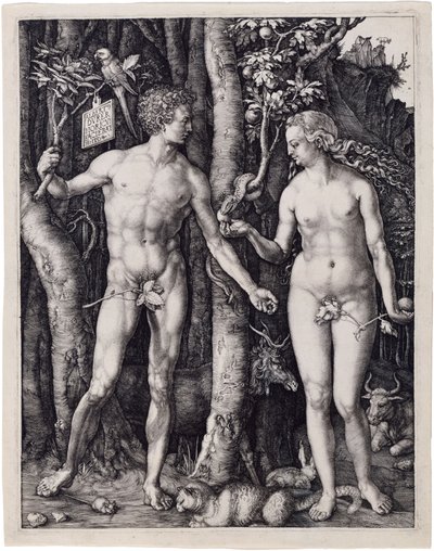  - Albrecht Dürer