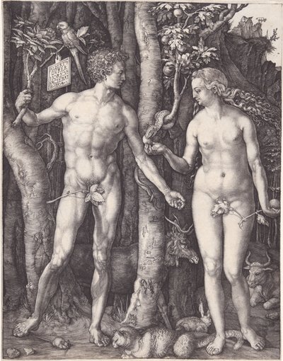  - Albrecht Dürer
