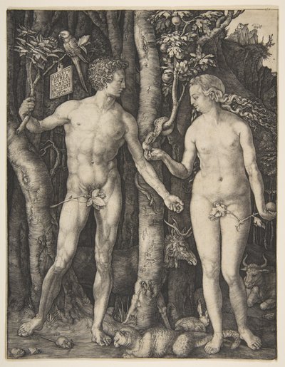  - Albrecht Dürer