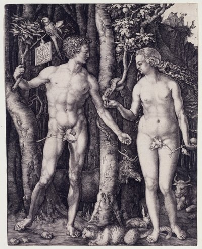  - Albrecht Dürer