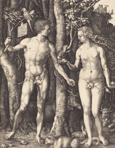 Adam et Ève, 1504 - Albrecht Dürer