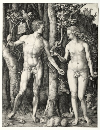 Adam et Ève, 1504 - Albrecht Dürer