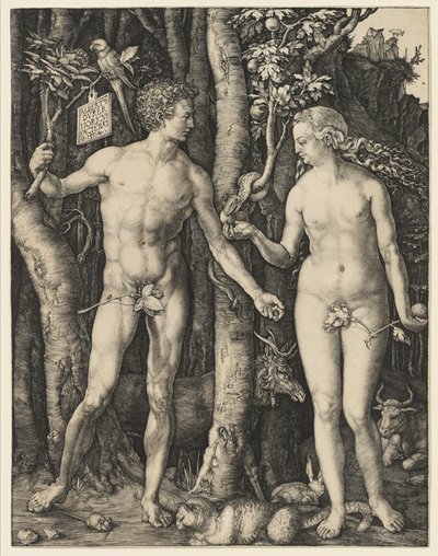 Adam et Ève, 1504 - Albrecht Dürer