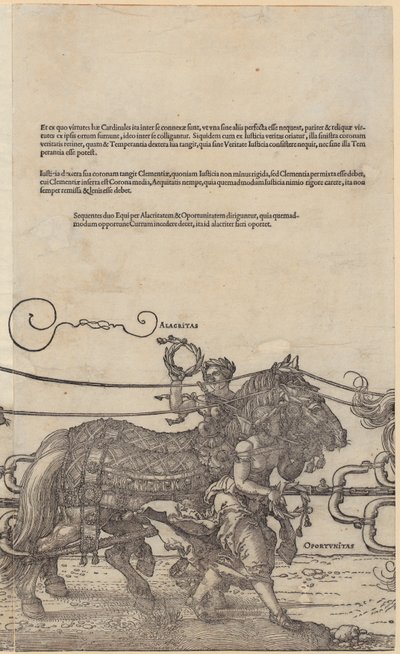  - Albrecht Dürer