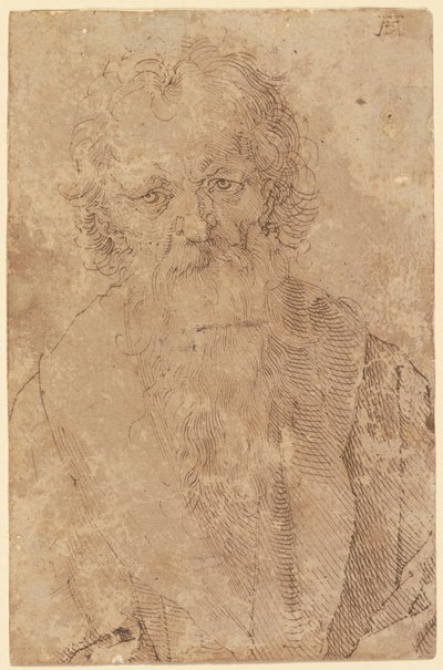  - Albrecht Dürer