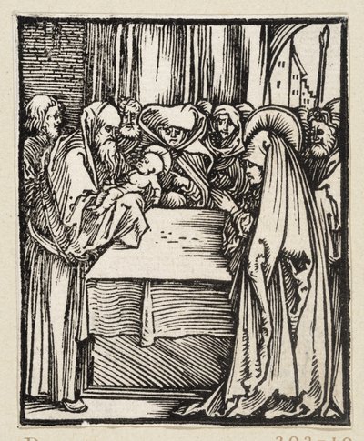  - Albrecht Dürer
