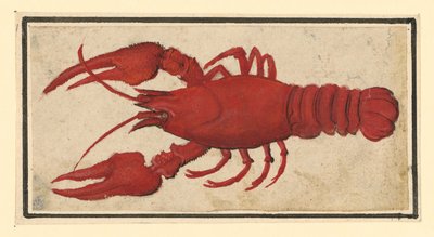  - Albrecht Dürer