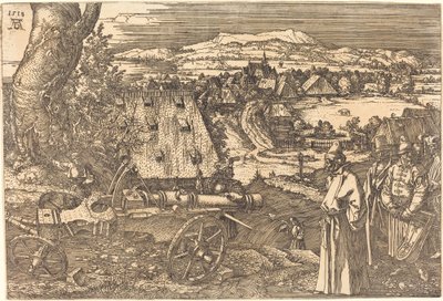 Paysage avec le canon - Albrecht Dürer