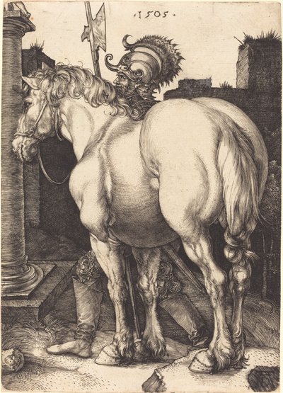Grand cheval - Albrecht Dürer