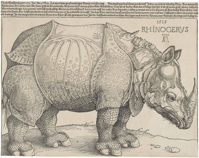 Latin :  Rhinocerus Le Rhinocéros - Albrecht Dürer