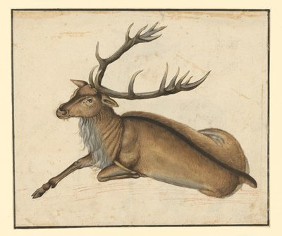  - Albrecht Dürer