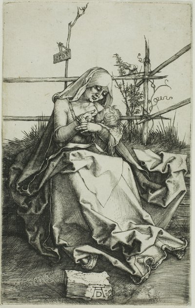 Madone sur une berge herbeuse - Albrecht Dürer