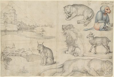 Croquis d