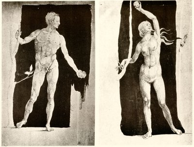Études sur Adam et Ève - Albrecht Dürer