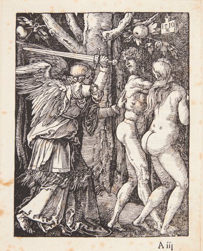  - Albrecht Dürer