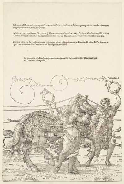  - Albrecht Dürer