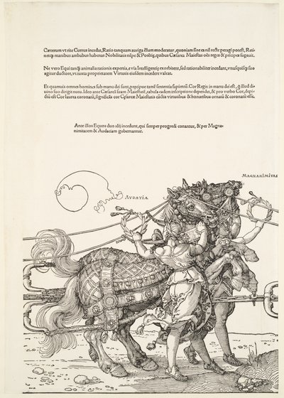  - Albrecht Dürer