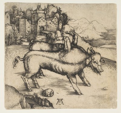 Le Cochon monstrueux de Landser, vers 1496 - Albrecht Dürer