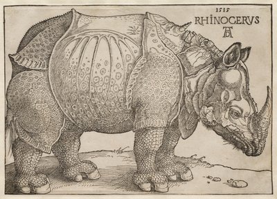  - Albrecht Dürer