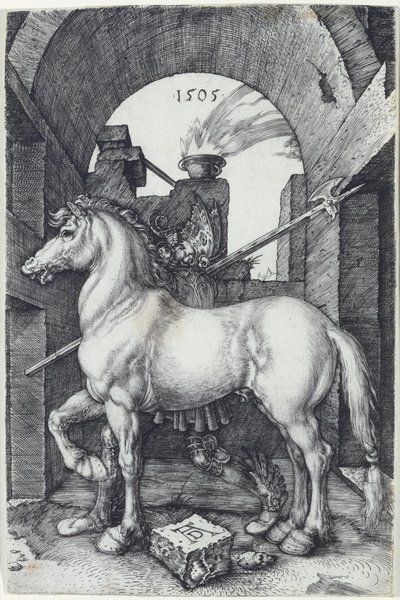 Le petit cheval - Albrecht Dürer