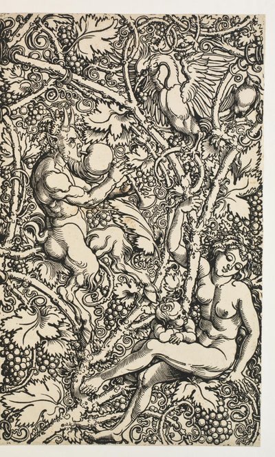 Deux dessins pour tapisserie avec famille de satyres - Albrecht Dürer