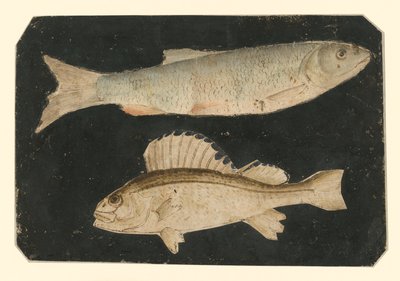  - Albrecht Dürer